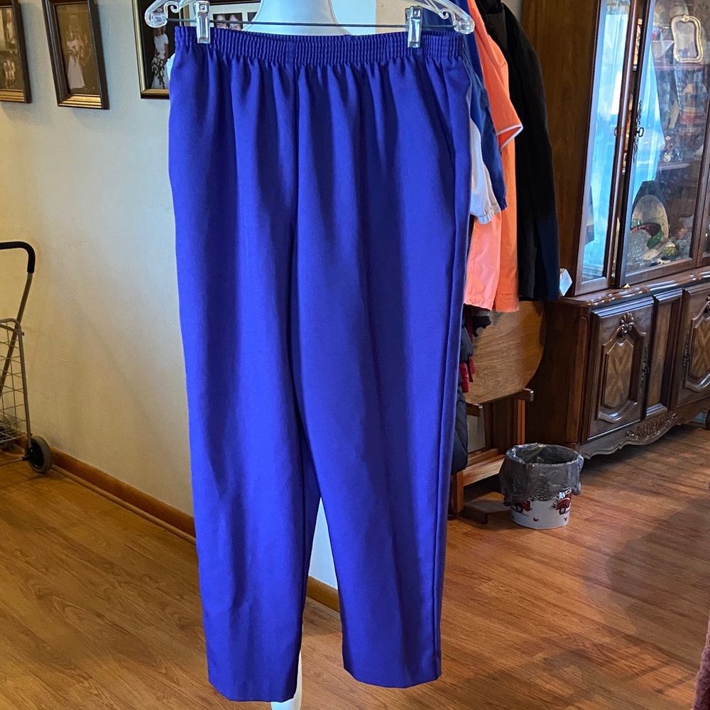 Solid purple pants. Size 14